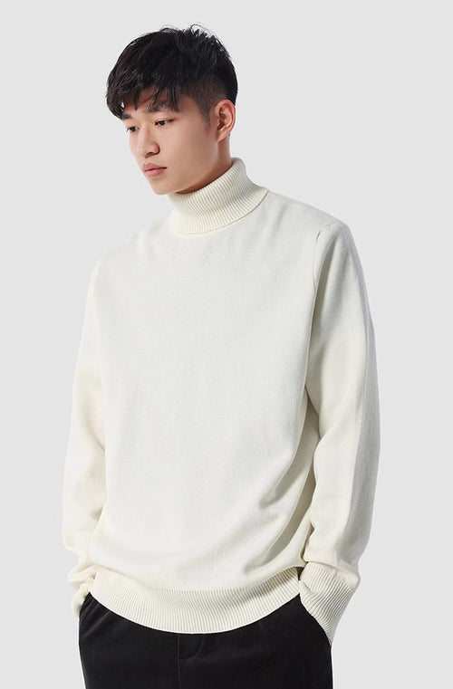 Rollkragen Pullover